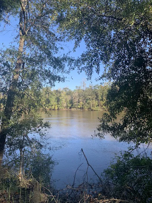 Mystic Springs Cove Inc Picture 5