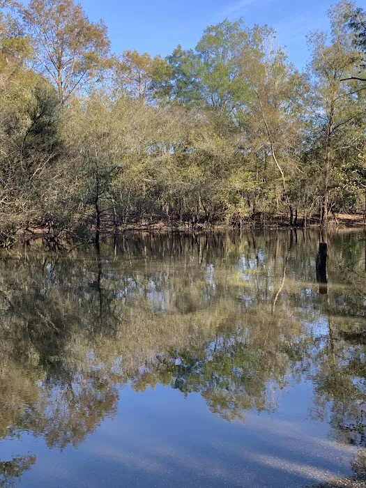 Mystic Springs Cove Inc Picture 4