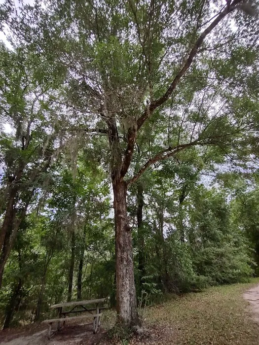 Mystic Springs Free Campground Picture 8