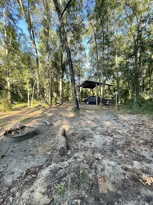 Mystic Springs Free Campground Picture 3