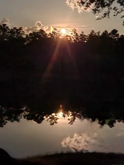 Bluff Springs Campground Picture 7