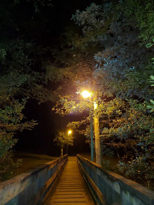 Bluff Springs Campground Picture 9