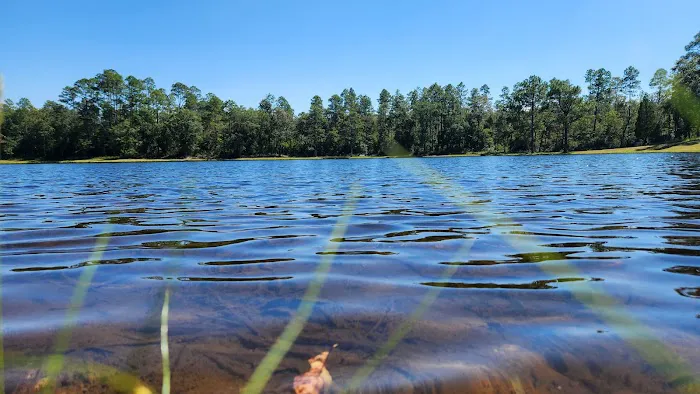 Bluff Springs Campground Picture 1