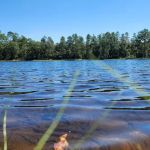 Bluff Springs Campground