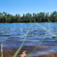 Bluff Springs Campground ico