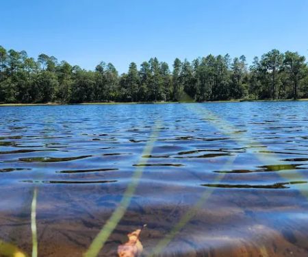 Bluff Springs Campground