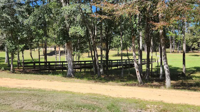 Bluff Springs Campground Picture 6