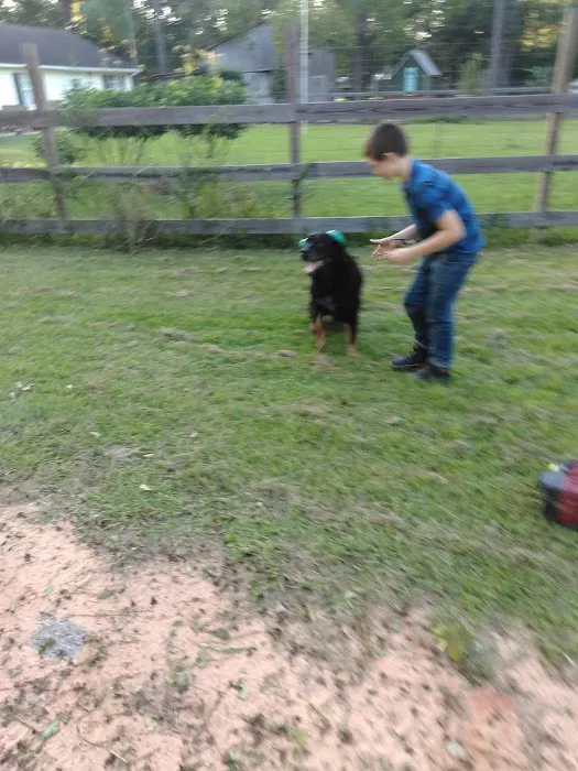 Rock Bottom Acres Picture 2