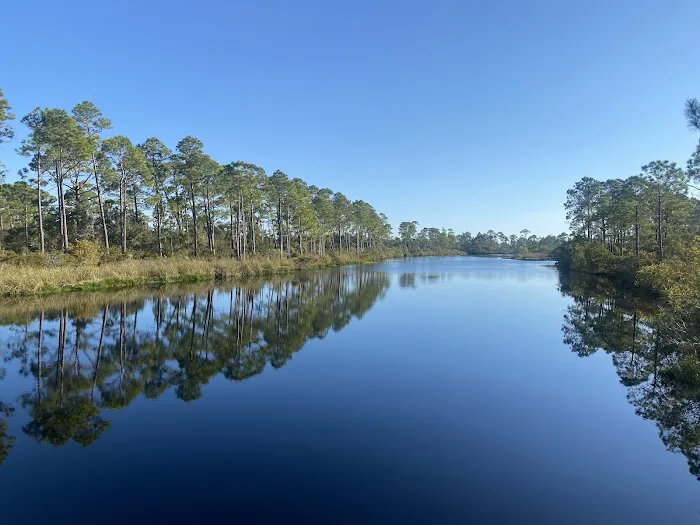 Big Lagoon State Park Campground Picture 17