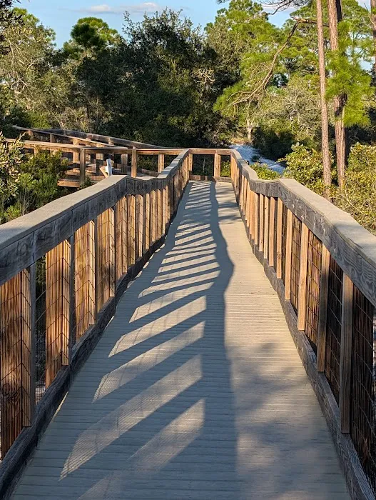 Big Lagoon State Park Campground Picture 11