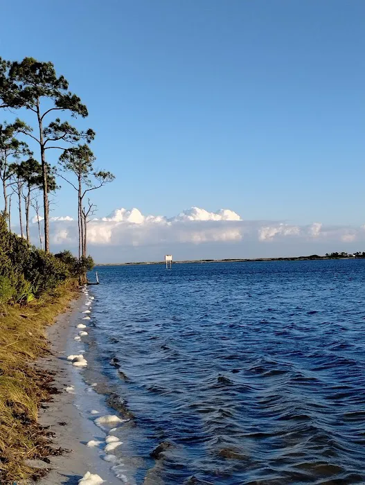 Big Lagoon State Park Campground Picture 14