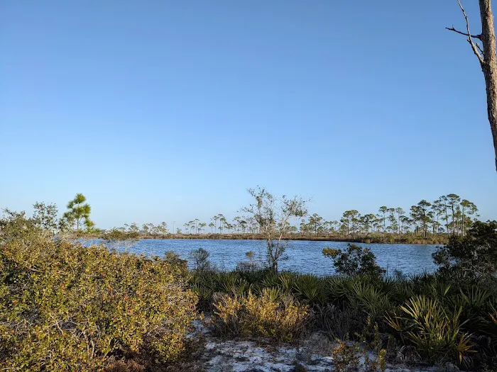 Big Lagoon State Park Campground Picture 9