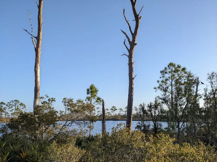 Big Lagoon State Park Campground Picture 10