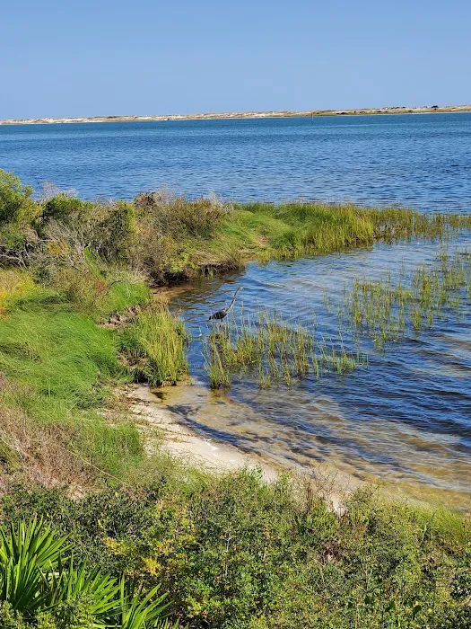Big Lagoon State Park Campground Picture 16