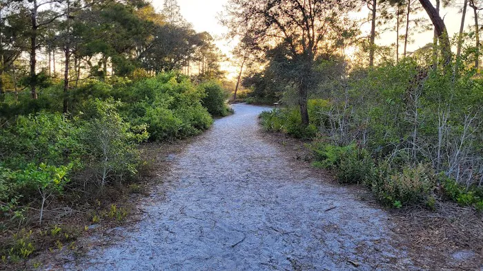 Big Lagoon State Park Campground Picture 13