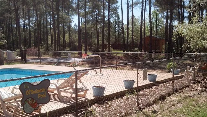 Yogi Bear's Jellystone Park RV Camp Resort of the Alabama Gulf Coast Picture 3