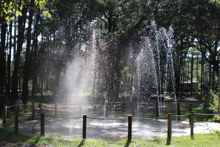 Yogi Bear's Jellystone Park RV Camp Resort of the Alabama Gulf Coast Picture 10