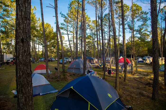 Yogi Bear's Jellystone Park RV Camp Resort of the Alabama Gulf Coast Picture 7