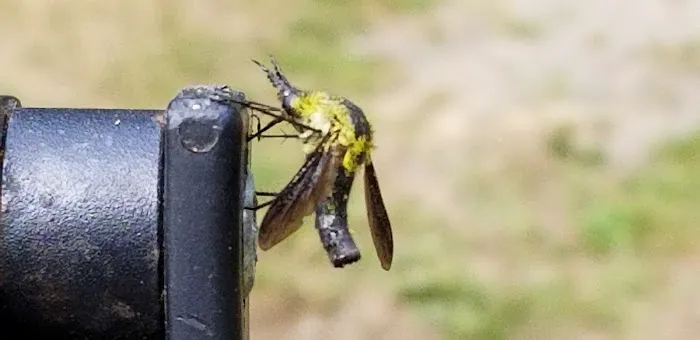 Block House Campground Picture 1