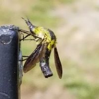 Block House Campground ico