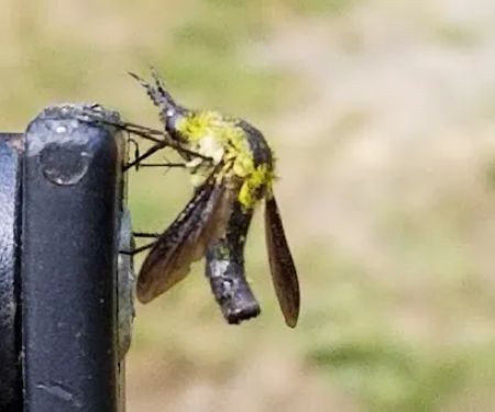 Block House Campground