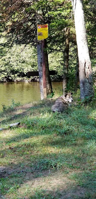 Block House Campground Picture 7