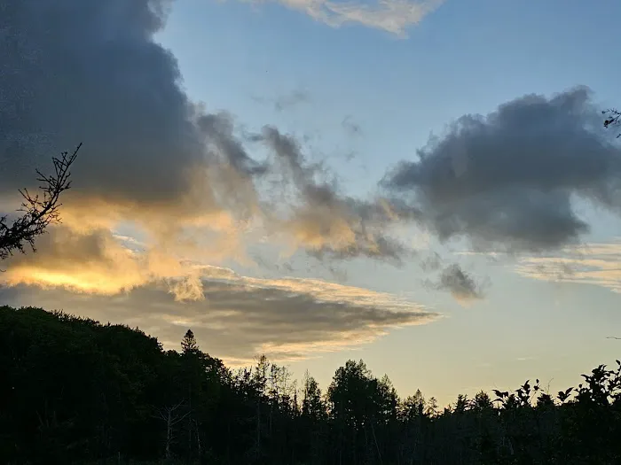 King Lake State Forest Campground Picture 3