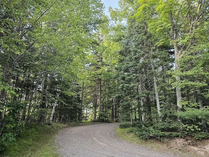 King Lake State Forest Campground Picture 7