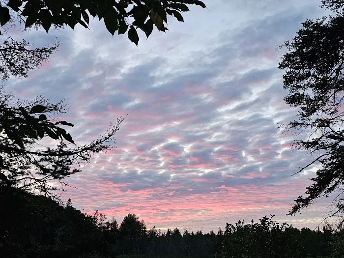 King Lake State Forest Campground Picture 5