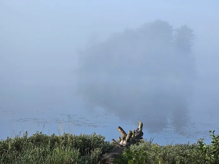 King Lake State Forest Campground Picture 2