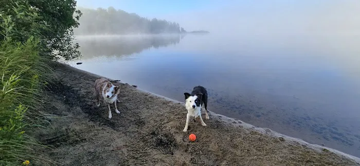Beaufort Lake State Forest Campground Picture 5