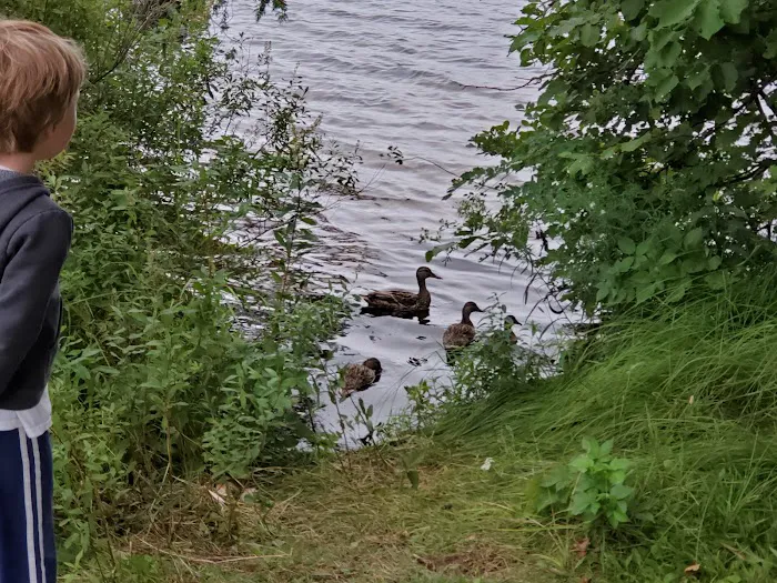 Beaufort Lake State Forest Campground Picture 8