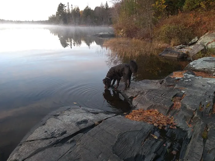 Perch Lake Campground Picture 1