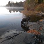 Perch Lake Campground
