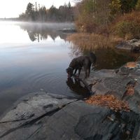 Perch Lake Campground ico