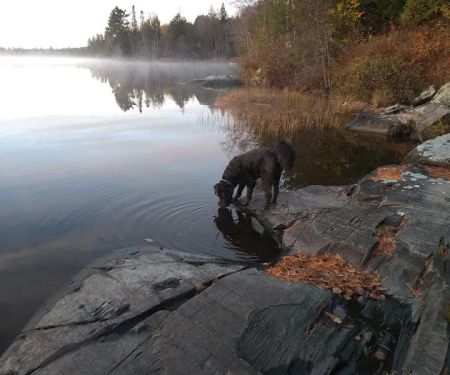 Perch Lake Campground