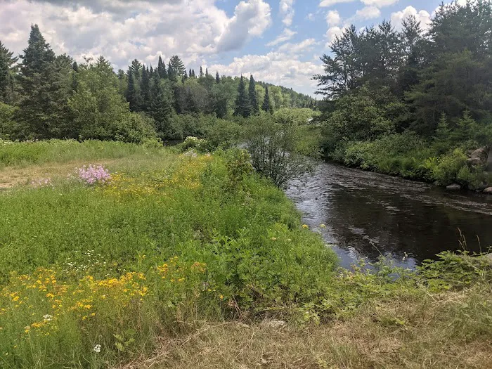 Paint River Forks Campground Picture 1