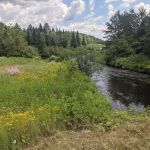 Paint River Forks Campground