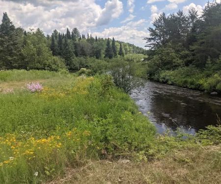 Paint River Forks Campground