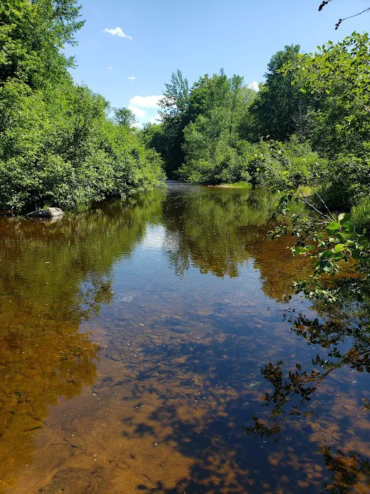 Big Eric's Bridge State Forest Campground Picture 4
