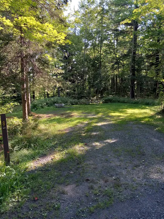 Big Eric's Bridge State Forest Campground Picture 6