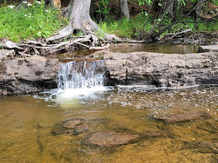 Big Eric's Bridge State Forest Campground Picture 8