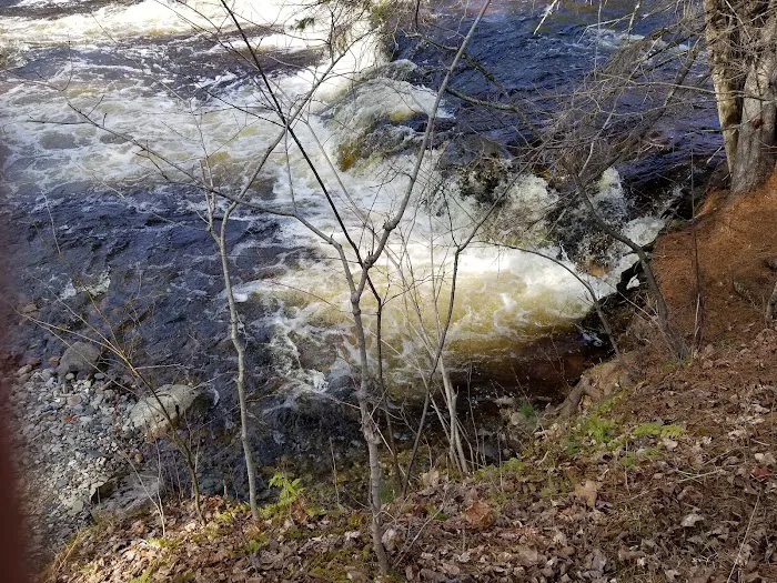 Big Eric's Bridge State Forest Campground Picture 9