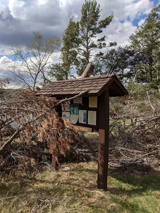 Golden Lake Campground Picture 5