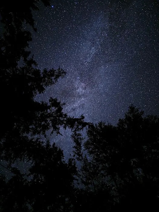 Golden Lake Campground Picture 4