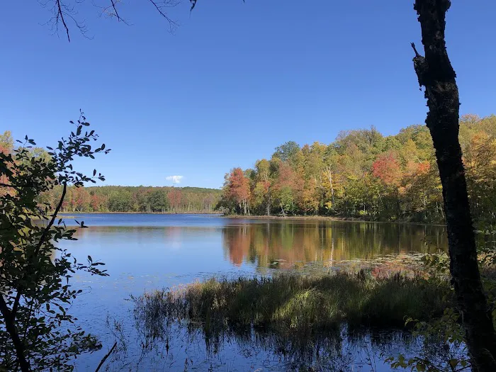 Audie Flowage-Perch Lake Campground Picture 2