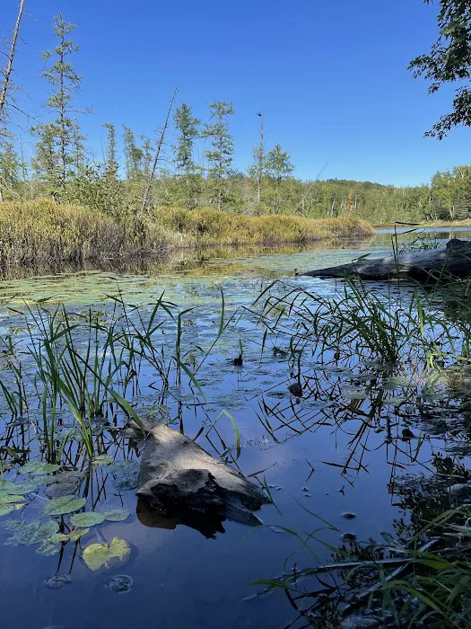 Audie Flowage-Perch Lake Campground Picture 7