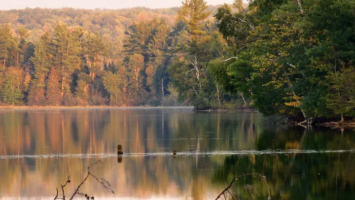 Murphy Flowage Campground Picture 2