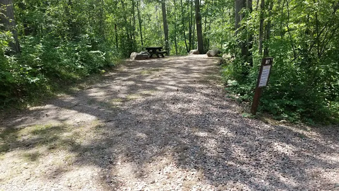 Murphy Flowage Campground Picture 8