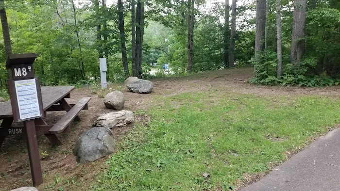 Murphy Flowage Campground Picture 5